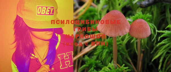 первитин Заволжье