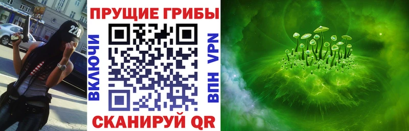 гидра ссылки  Белая Холуница  Псилоцибиновые грибы MAGIC MUSHROOMS 